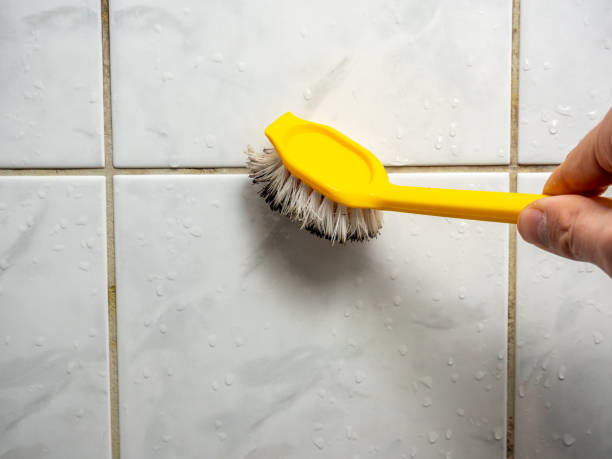 Best Home Mold Removal  in Roosevelt, NJ