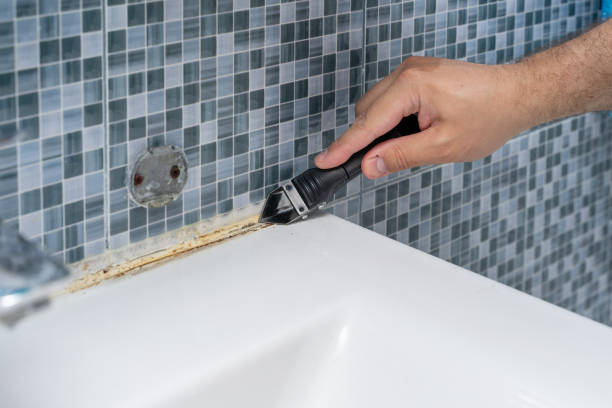 Professional Mold Removal in Roosevelt, NJ