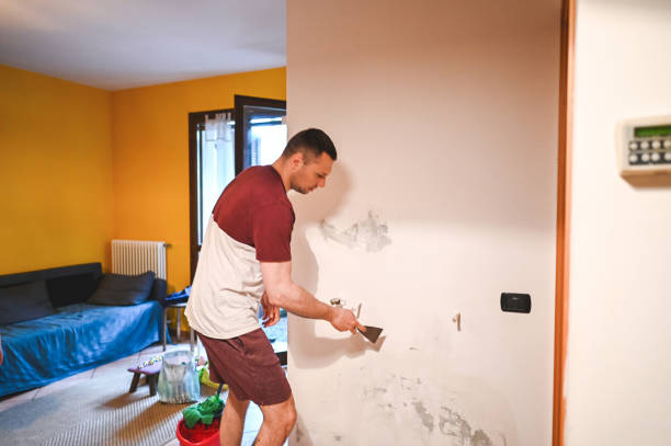 Best Mold Removal Process  in Roosevelt, NJ